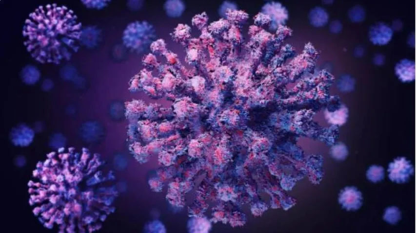 Covid 19 Odisha Updates