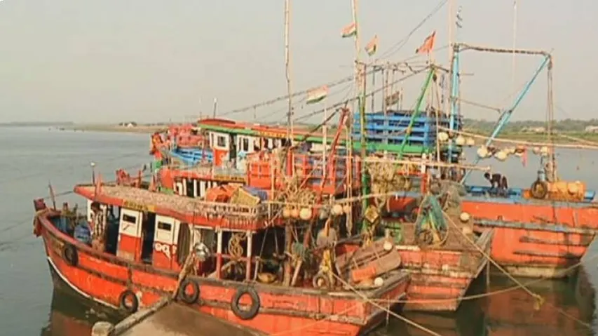 marine fish business 