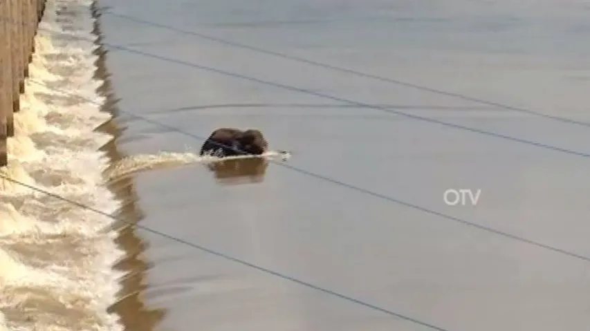  Mundali Boat Tragedy