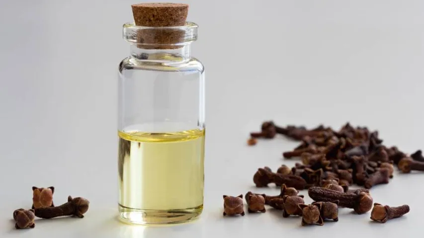Clove oil for health