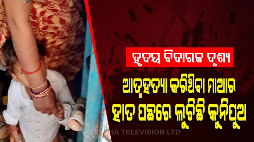 Toddler Grabs Dead Mothers Hand