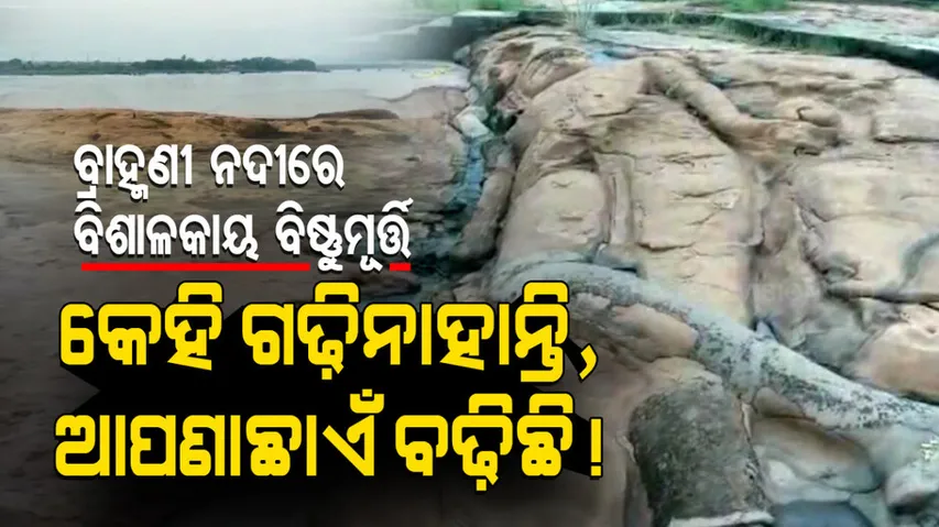 9th Century Anant Sayan Vishnu Idol