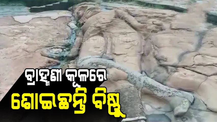 Ancient Anantashayana Vishnu