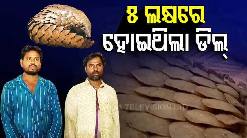 Forest Dept Seizes 4 Kg Pangolin Scales