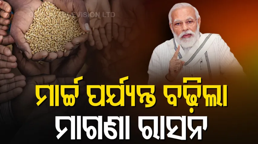 free food until March