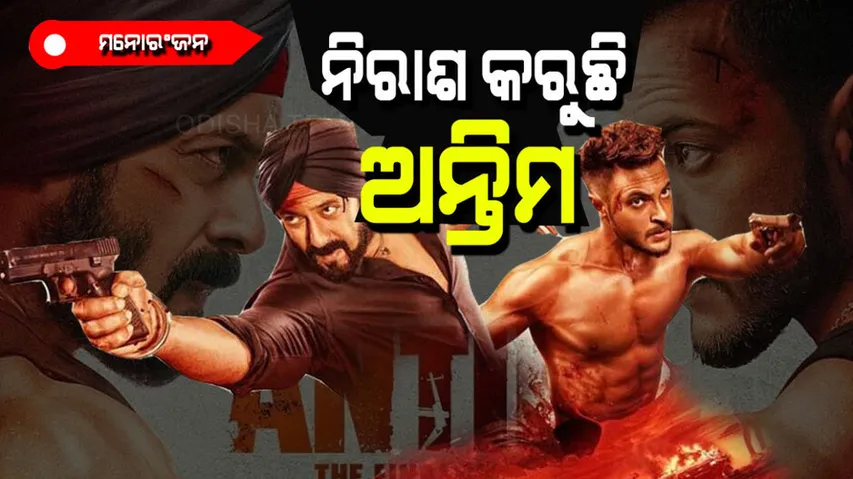 Salman Khan-Ayush Sharma film Antim did not earn more money