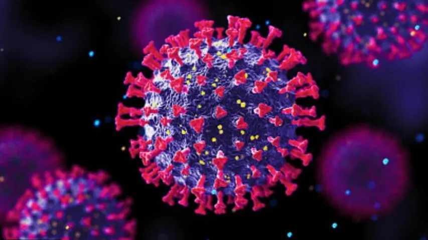 Four Returnees From At Risk Countries Found Positive In Odisha