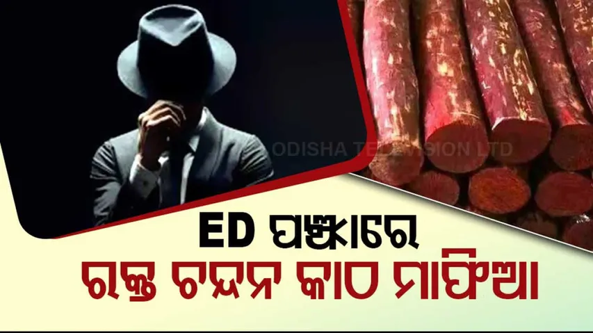 ED Sandal wood Mafia