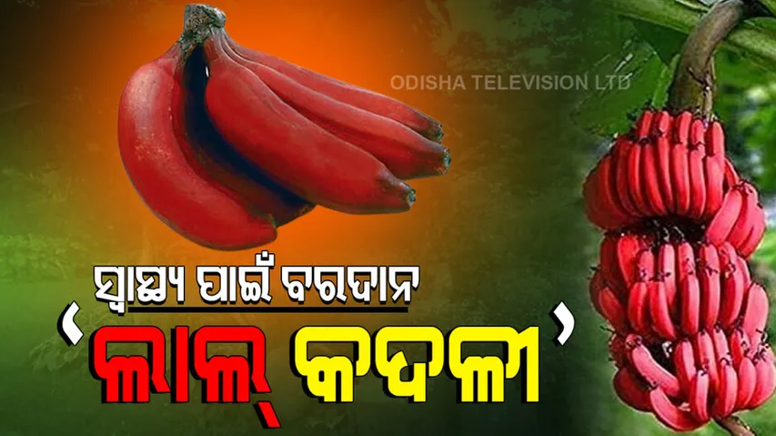 Health Benifits of 'Red banana'