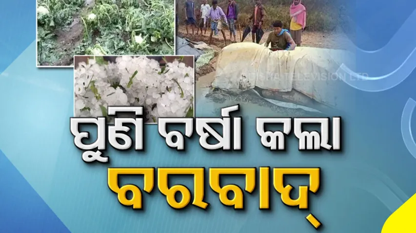 Western Odisha Farmers condition