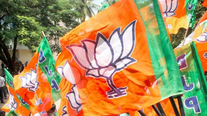 BJP Releases Star Campaigner For UP Elction