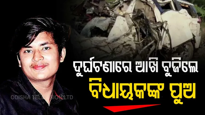 BJP MLA's Son Killed In Car Accident