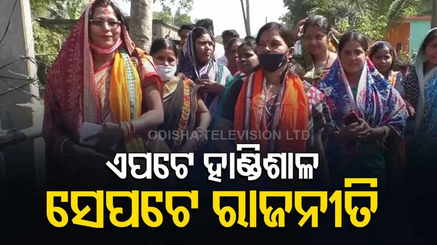 Housewives in politics