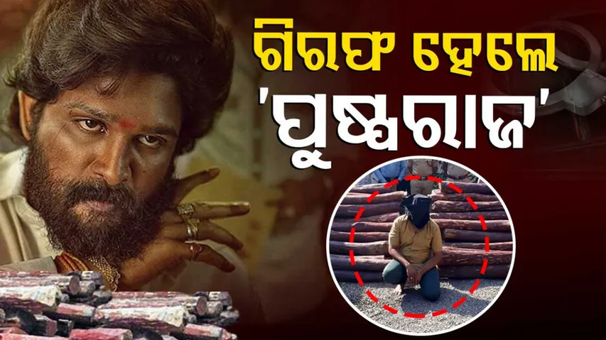 Man Tries To Smuggle Red Sandalwood Arrested