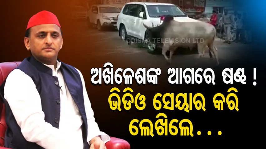 Akhilesh Yadav's Carcade