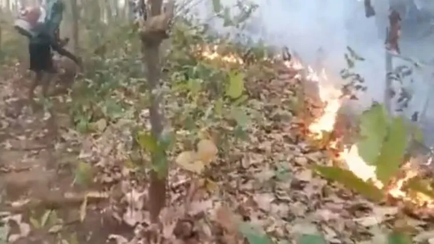 Simlipal Tiger Reserve