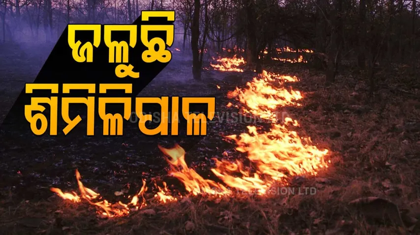 7 more fire points reported at Similipal 