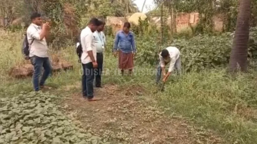 Crude Oil & Natural Gas