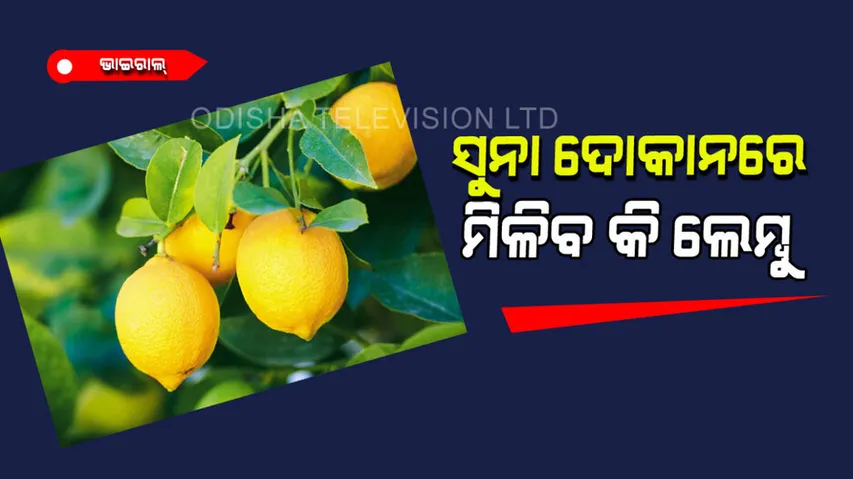 Lemon price hike social media flooded memes