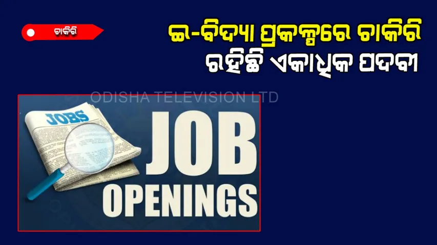 NCERT Recruitment: Vacancies Announced For Multiple Consultant Posts