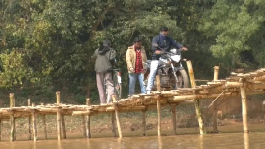 bamboo bridge