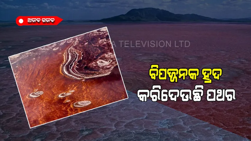 Lake natron is world’s most dangerous lake