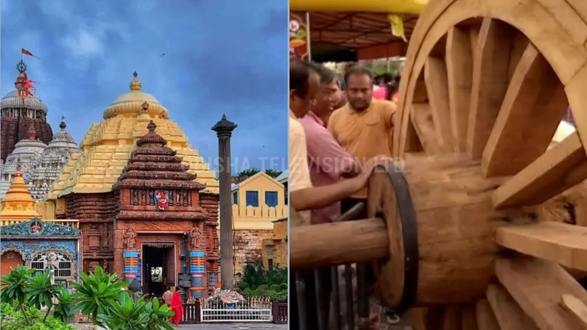 Rath Yatra 2022। Construction of chariots underway in full swing in Puri ॥ Updates from Ratha Khala 