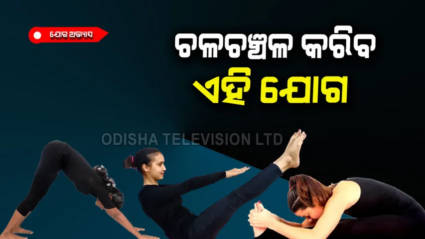 How to stay active and energized all day 