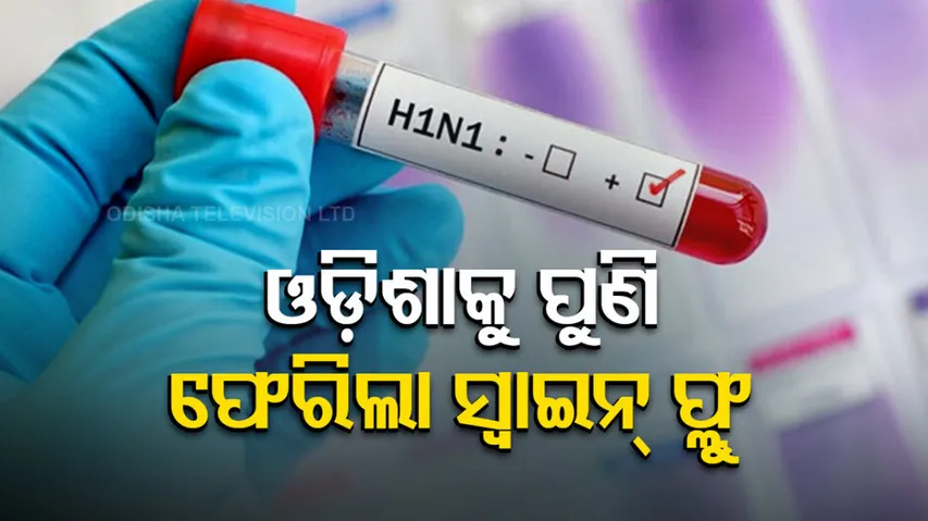 Again Swine Flu Hits Back In Odisha 