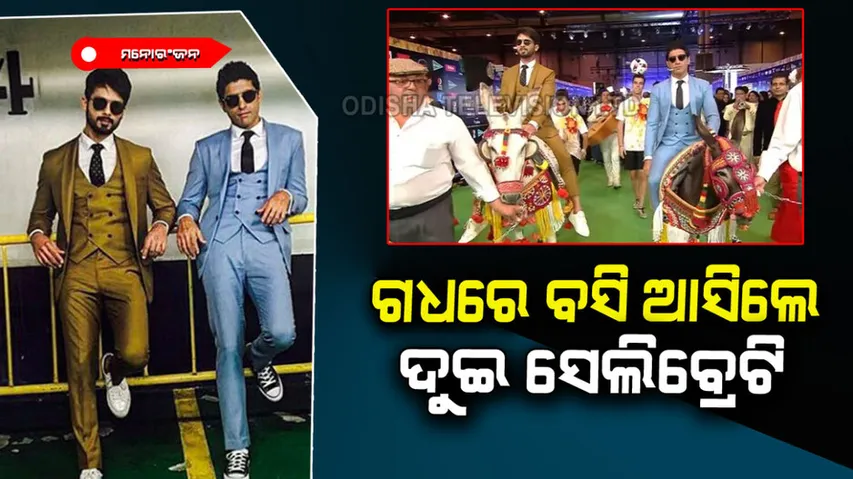 Shahid Kapoor and Farhan Akhtar entered at IIFA awards on donkeys