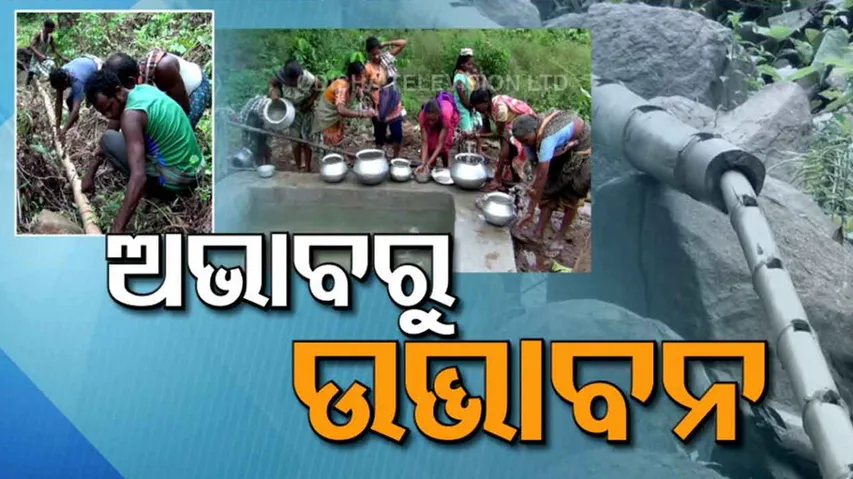 Bamboo Pipe Discover 