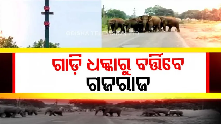 Siren to protect wild elephants from accidents; Forest dept’s pilot project in Odisha’s Dhenkanal