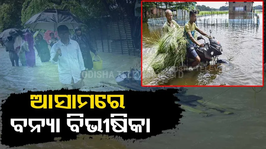 Assam flood situation grim, 29 lakh affected