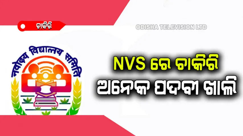 Bumper vacancy for these posts in navodaya vidyalaya