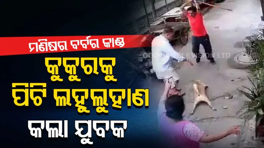 Watch: Barking dog leads to brawl as man hits three people in Delhi’s Paschim Vihar