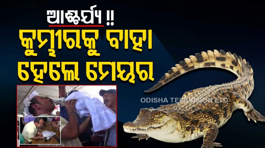 Mexican mayor marries alligator as part of local harvest tradition