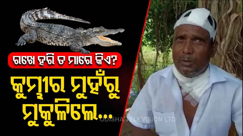 Man Survives Crocodile Attack In Kendrapara