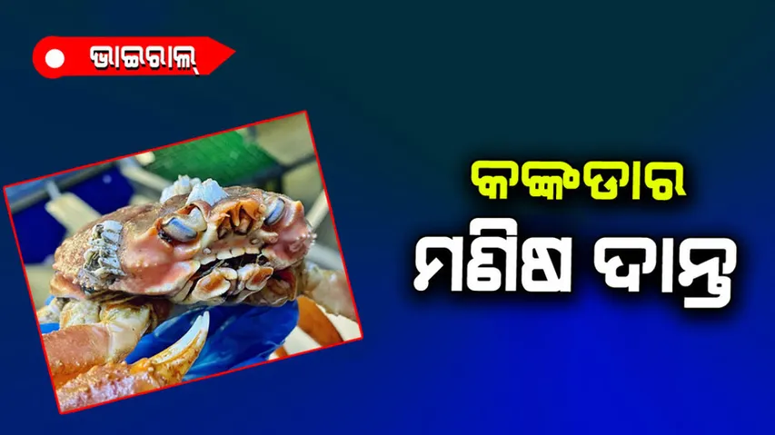 Crab having human like teeth