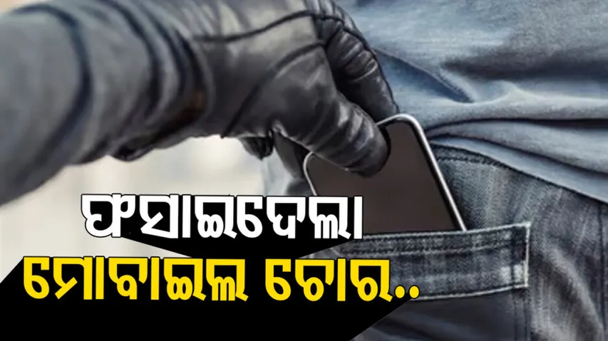 Mobile thief dupes businessman