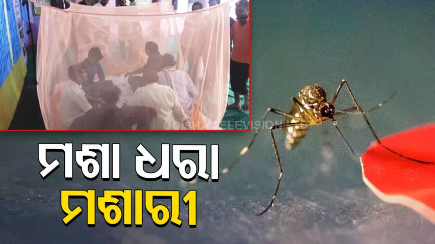 Doctor Invented Rare Mosquito Net