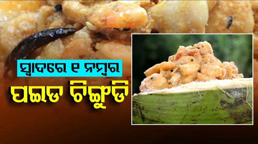 Taste of Odisha