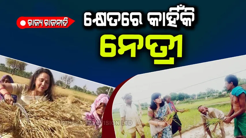 Woman leader in farmer field