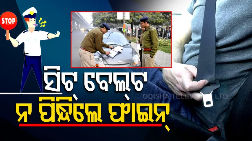 Penalty For Not Wearing Seatbelt 