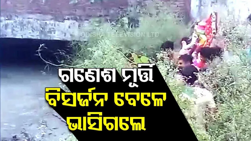 7 Drown In Haryana During Ganesh Idols' Immersion