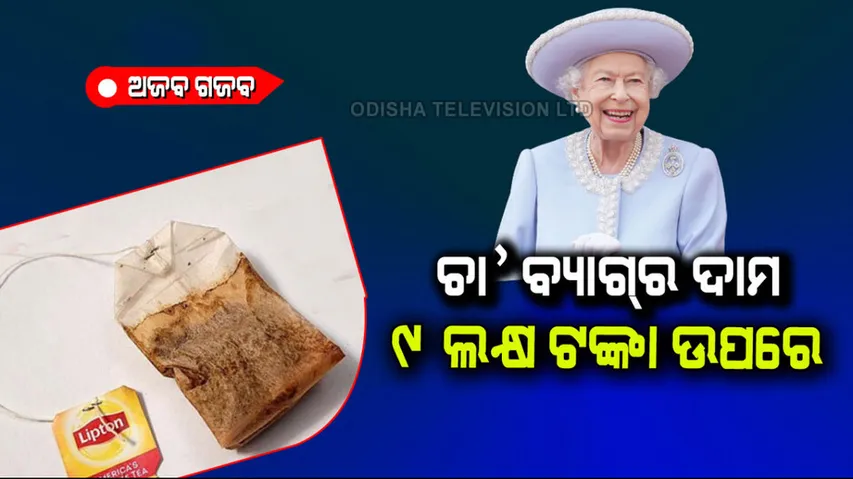 Teabag used by queen elizabeth-2 being sold for 9.5 lakh