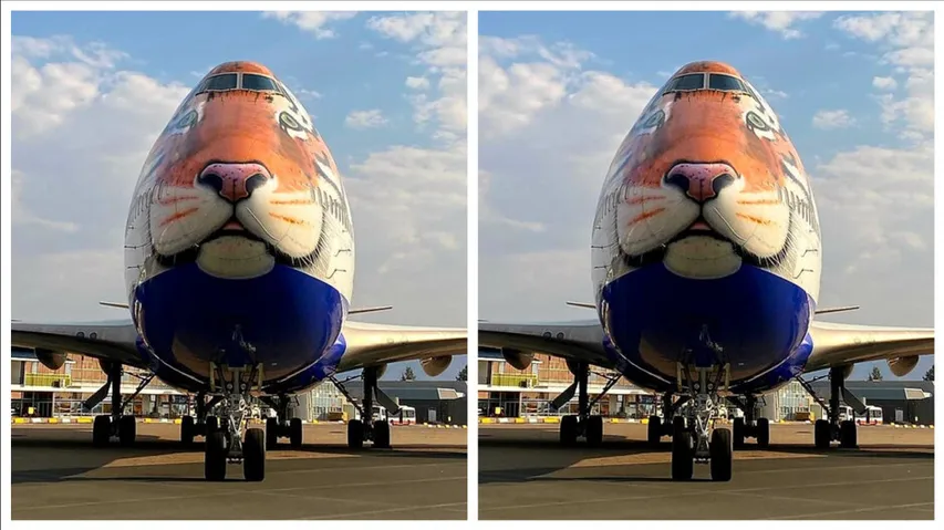 Tiger-Faced B747 Jumbo Jet