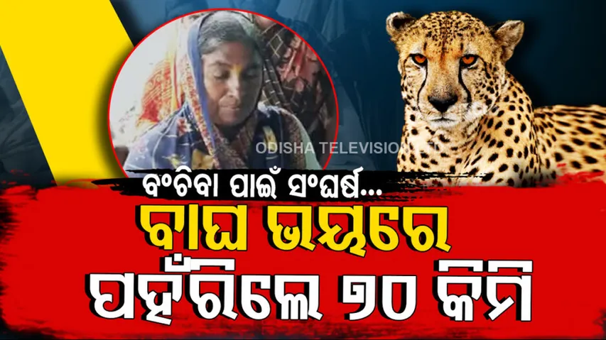 Maharastra Woman Swims 70 km