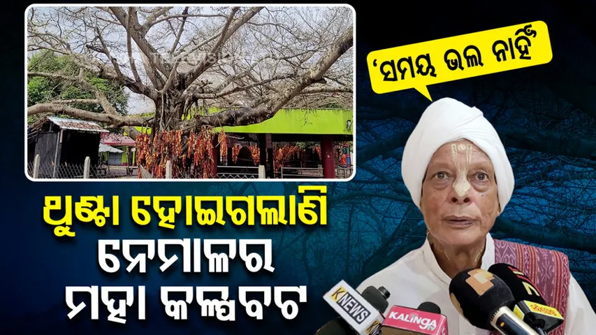 Early falling of tree leaves