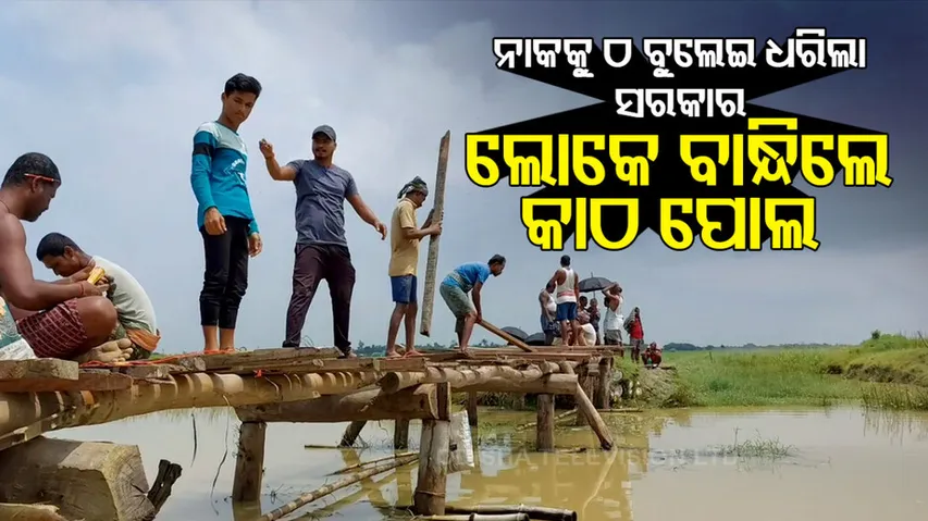 villagers build wooden bridge