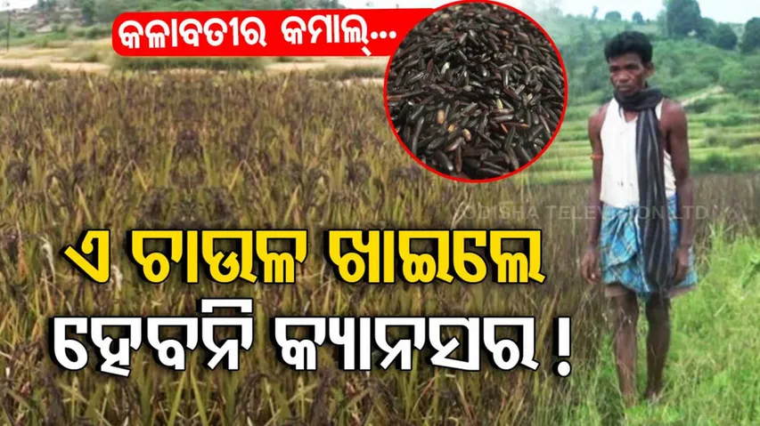 Add this Koraput rice in your kitchen to stay away from cancer